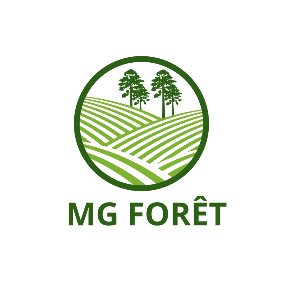 Un logo circulaire vert avec deux arbres au-dessus de champs stylisés et incurvés. Sous le cercle, le texte "MG FORÊT" est écrit en lettres vertes et grasses. Le fond est blanc.
